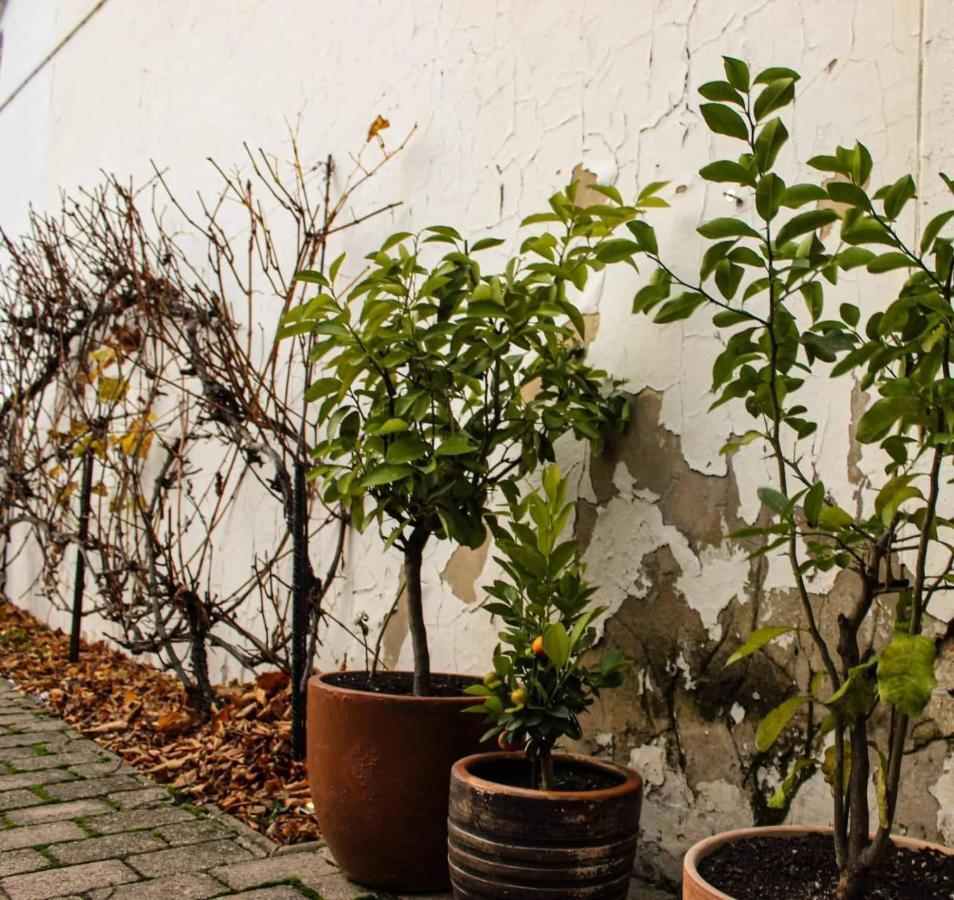 Il Galeone Hotel Stupava Ngoại thất bức ảnh